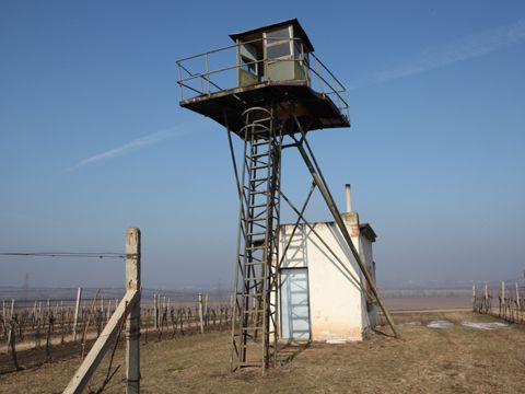 Foto 99
